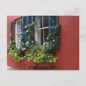 Briefkaart, HD-fotografie Charleston SC Briefkaart (Voorkant)