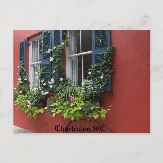 Briefkaart, HD-fotografie Charleston SC Briefkaart (Voorkant)