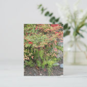 Briefkaart Heavenly Bamboo en Asparagus Fern (Staand voorkant)