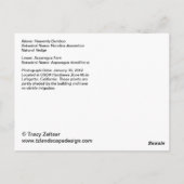 Briefkaart Heavenly Bamboo en Asparagus Fern (Achterkant)