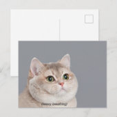 Briefkaart Heavy Breathing Cat Meme (Voorkant / Achterkant)