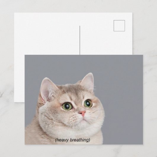 Briefkaart Heavy Breathing Cat Meme (Voorkant / Achterkant)