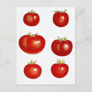Briefkaart Heirloom Garden Tomaten Farmers Market