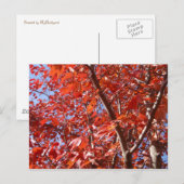 Briefkaart herfst. (Voorkant / Achterkant)
