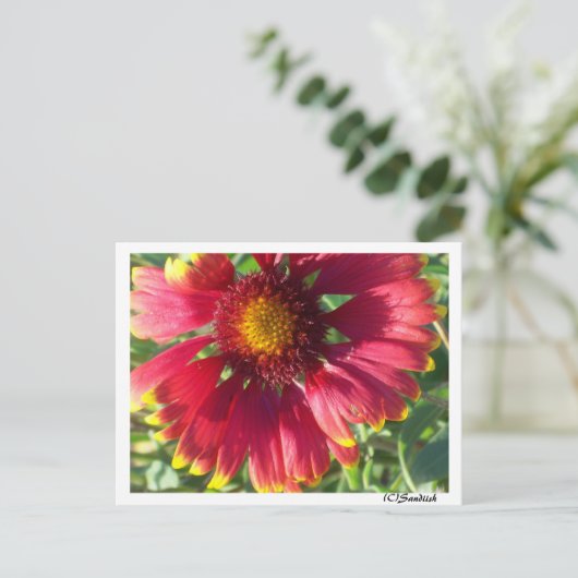 Briefkaart Herfst ventilator (Staand voorkant)