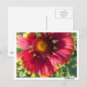 Briefkaart Herfst ventilator (Voorkant / Achterkant)