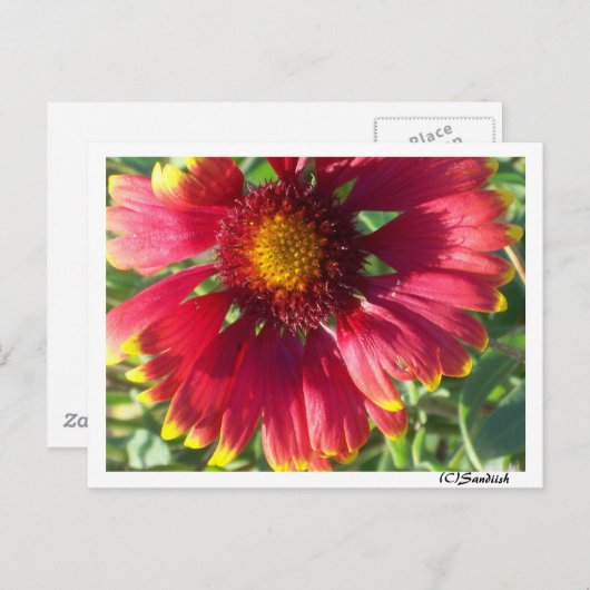 Briefkaart Herfst ventilator (Voorkant / Achterkant)