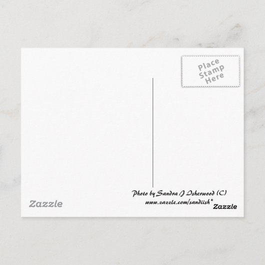 Briefkaart Herfst ventilator (Achterkant)