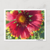 Briefkaart Herfst ventilator (Voorkant)