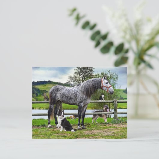 briefkaart "Hero & The Boys" (Staand voorkant)