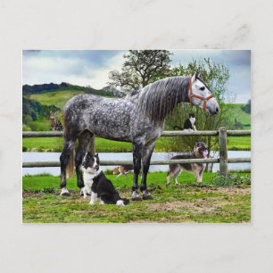 briefkaart "Hero & The Boys"