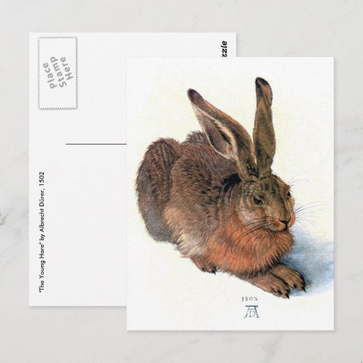 Briefkaart: Het Konijn Briefkaart (Voorkant / Achterkant)