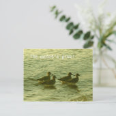 Briefkaart - Het water is prima. (Staand voorkant)