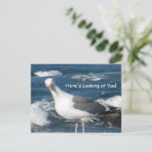 Briefkaart:  Hier kijk je naar Gull Briefkaart (Staand voorkant)