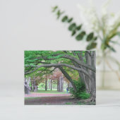 Briefkaart: Historische grove in Kissena Park Briefkaart (Staand voorkant)