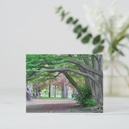 Briefkaart: Historische grove in Kissena Park Briefkaart (Staand voorkant)