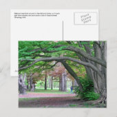 Briefkaart: Historische grove in Kissena Park Briefkaart (Voorkant / Achterkant)