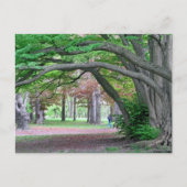 Briefkaart: Historische grove in Kissena Park Briefkaart (Voorkant)