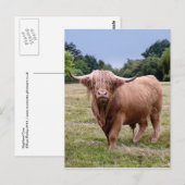 Briefkaart hobbykoeien (Voorkant / Achterkant)