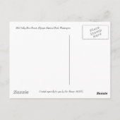 Briefkaart Hoh Valley Rain Forest (Achterkant)