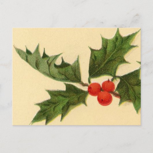 Briefkaart:  Holly Sprig Briefkaart (Voorkant)