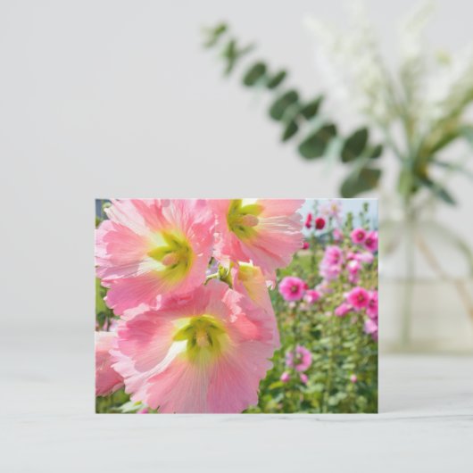 Briefkaart Hollyhock Flowers (Staand voorkant)