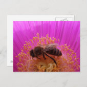 Briefkaart honingbijen (Voorkant / Achterkant)