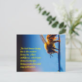 Briefkaart honingbijen (Staand voorkant)