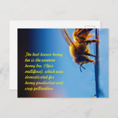 Briefkaart honingbijen (Voorkant / Achterkant)