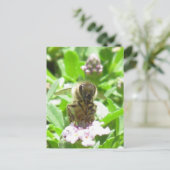 Briefkaart - Honingbijen op bloesem (Staand voorkant)