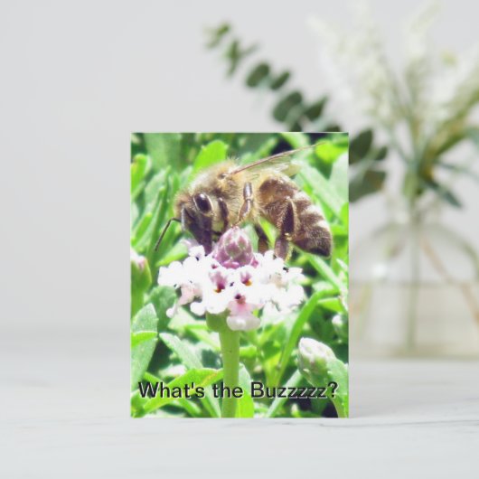 Briefkaart - Honingbijenprofiel (Staand voorkant)