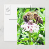 Briefkaart - Honingbijenprofiel (Voorkant / Achterkant)