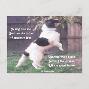 Briefkaart Hoorsteengedicht door Ladee Basset