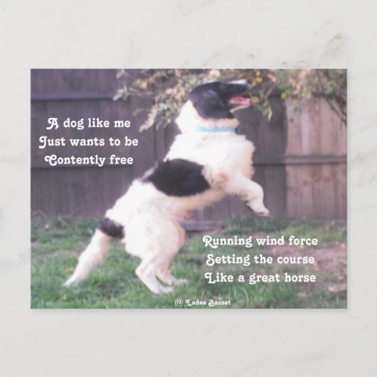 Briefkaart Hoorsteengedicht door Ladee Basset (Voorkant)