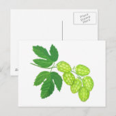 Briefkaart hopbloemen (Voorkant / Achterkant)