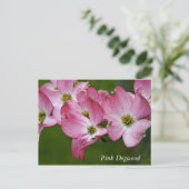 Briefkaart: Horizontaal Dogwood Briefkaart (Staand voorkant)