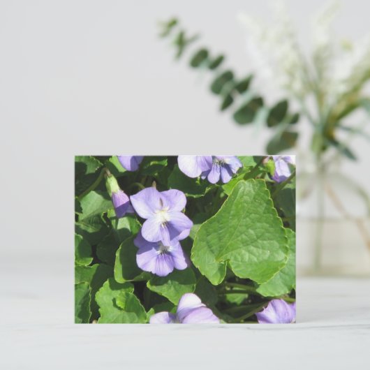 Briefkaart horizontale Sjabloon - Gepersonaliseerd (Staand voorkant)