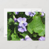 Briefkaart horizontale Sjabloon - Gepersonaliseerd (Voorkant / Achterkant)