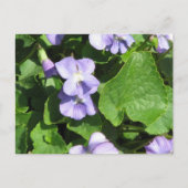 Briefkaart horizontale Sjabloon - Gepersonaliseerd (Voorkant)