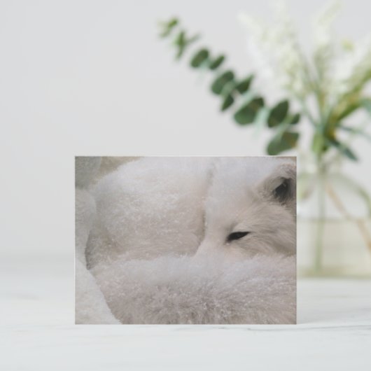 Briefkaart horizontale Sjabloon - Gepersonaliseerd (Staand voorkant)