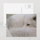 Briefkaart horizontale Sjabloon - Gepersonaliseerd (Voorkant / Achterkant)