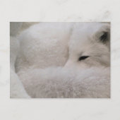 Briefkaart horizontale Sjabloon - Gepersonaliseerd (Voorkant)