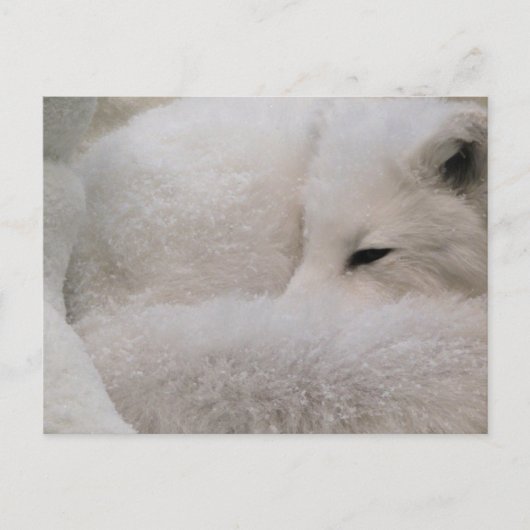 Briefkaart horizontale Sjabloon - Gepersonaliseerd (Voorkant)