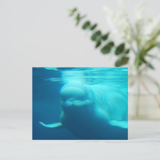 Briefkaart horizontale Sjabloon - Gepersonaliseerd (Staand voorkant)