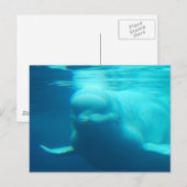 Briefkaart horizontale Sjabloon - Gepersonaliseerd (Voorkant / Achterkant)