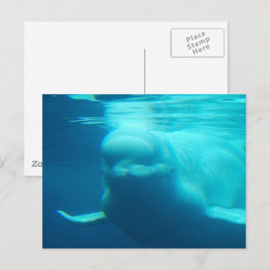 Briefkaart horizontale Sjabloon - Gepersonaliseerd (Voorkant / Achterkant)