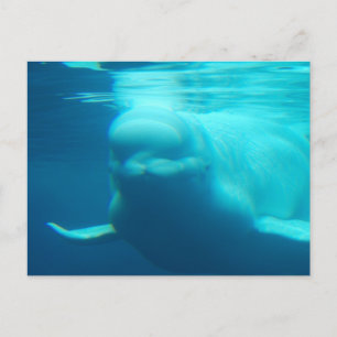 Briefkaart horizontale Sjabloon - Gepersonaliseerd