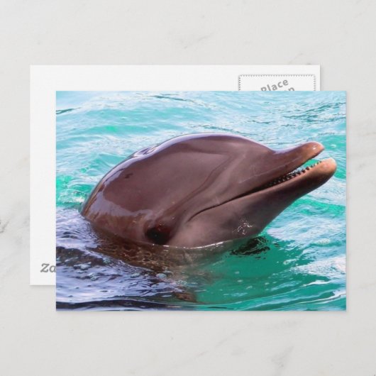 Briefkaart horizontale Sjabloon - Gepersonaliseerd (Voorkant / Achterkant)