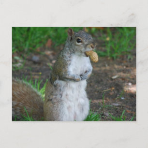 Briefkaart horizontale Sjabloon - Gepersonaliseerd