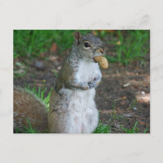 Briefkaart horizontale Sjabloon - Gepersonaliseerd (Voorkant)